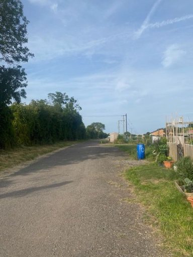 Rural space for Walk and Talk therapy A quiet, rural road lined with trees and plants under a clear blue sky.