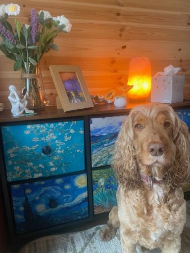 Image inside The Therapeutic Camper A brown dog sits in front of a colourful dresser with a vase of flowers and a lamp.